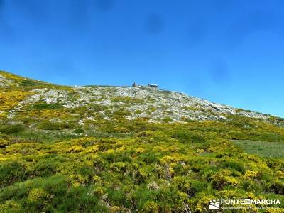 El Morezón - Sierra de Gredos; puente del pilar; rutas senderismo madrid;senderismo de ensueño